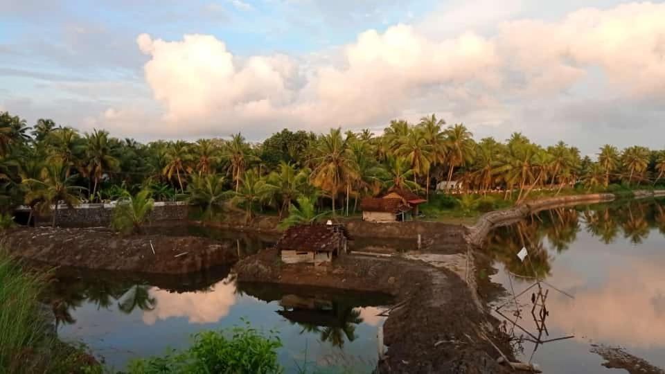Shruthi'S Aarohi-Nature'S Retreat Mulappilangād Exterior foto